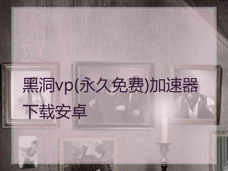 黑洞vp(永久免费)加速器下载安卓