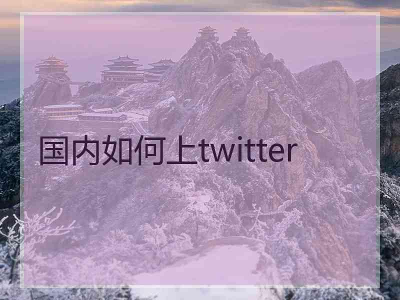 国内如何上twitter