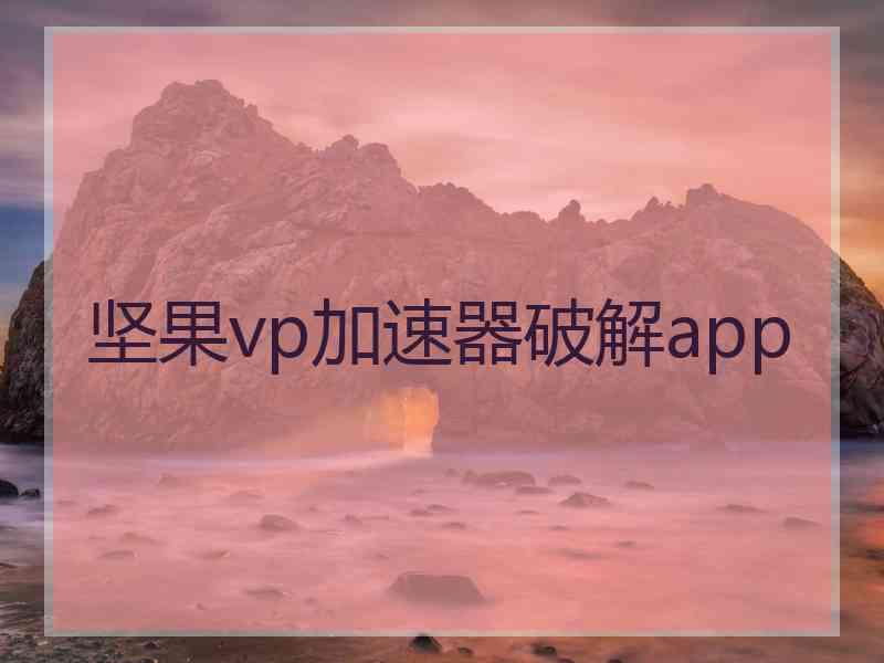 坚果vp加速器破解app