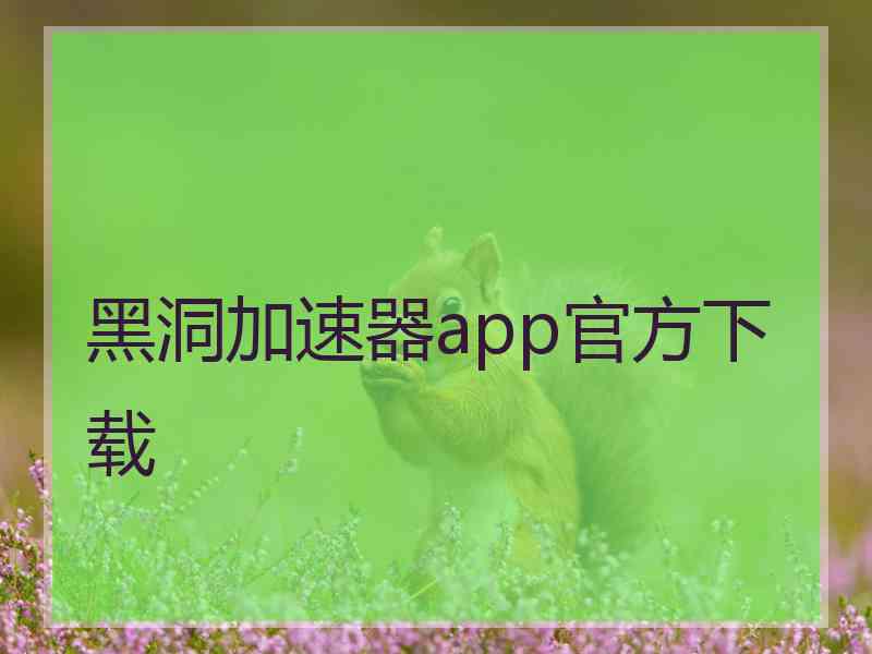 黑洞加速器app官方下载