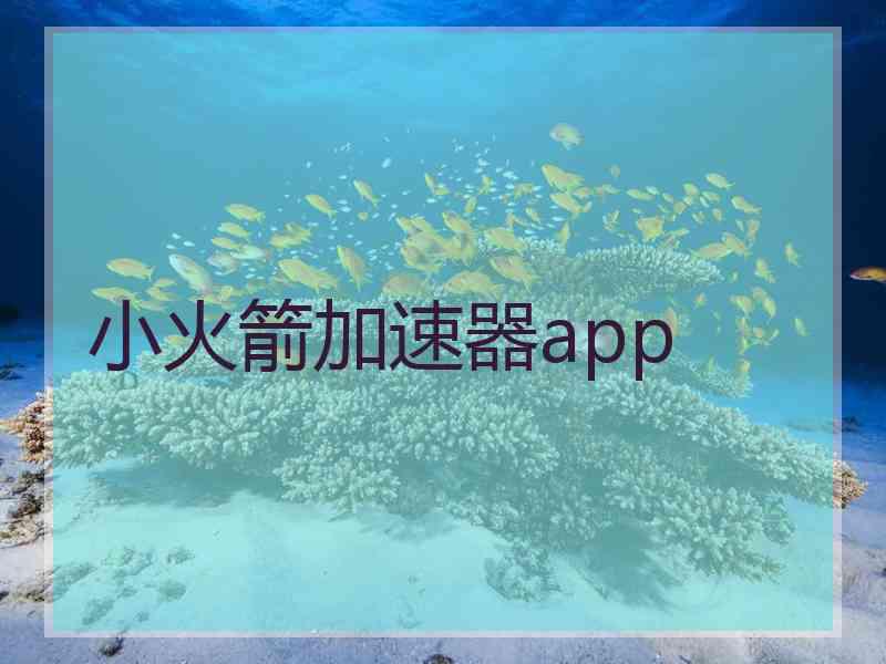 小火箭加速器app