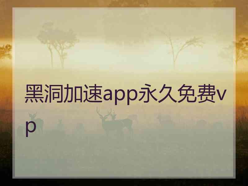 黑洞加速app永久免费vp