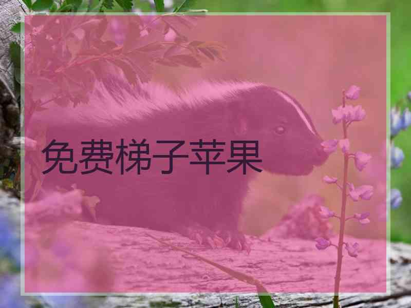 免费梯子苹果