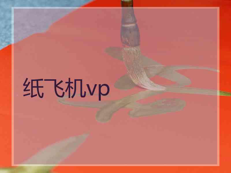 纸飞机vp