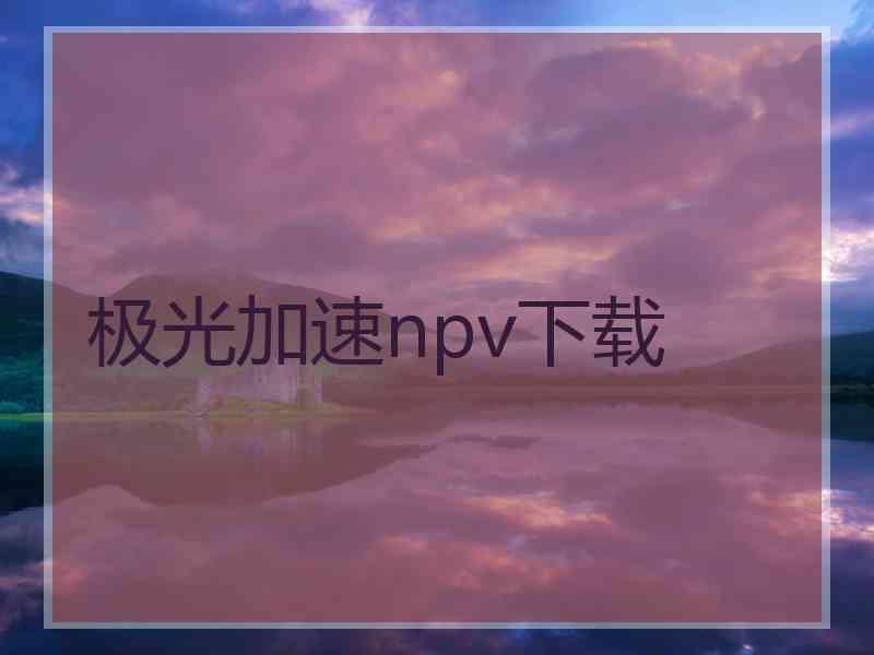 极光加速npv下载