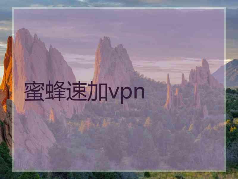 蜜蜂速加vpn