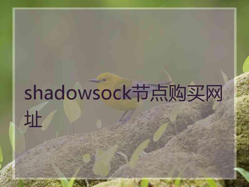 shadowsock节点购买网址