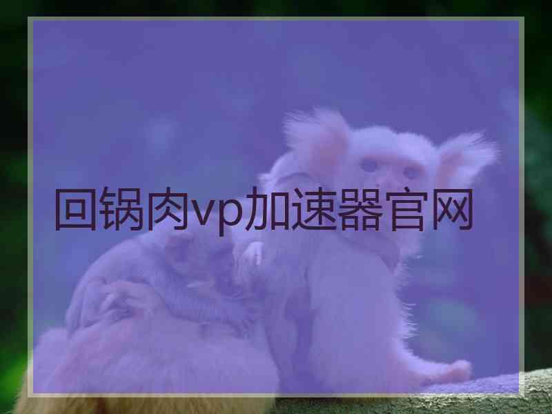 回锅肉vp加速器官网