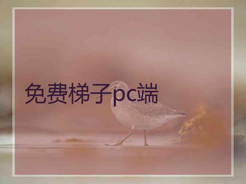 免费梯子pc端