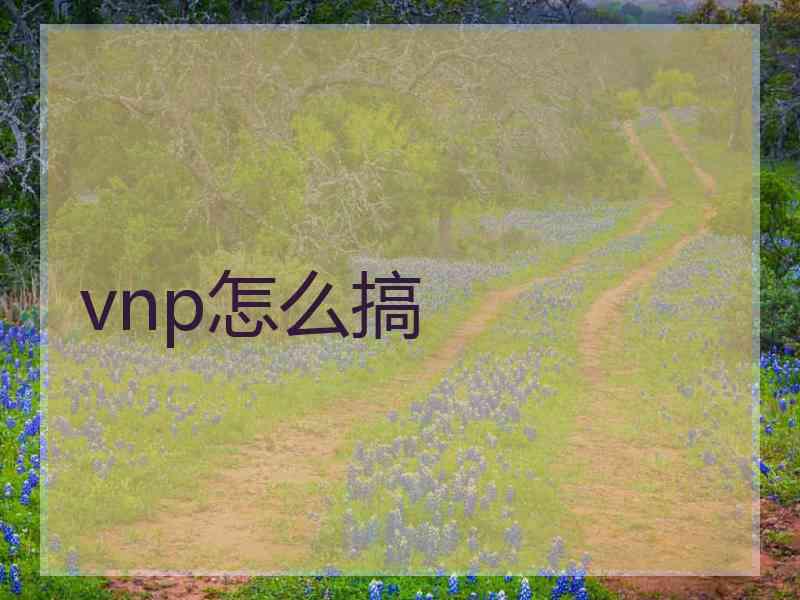 vnp怎么搞