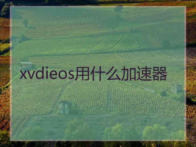 xvdieos用什么加速器