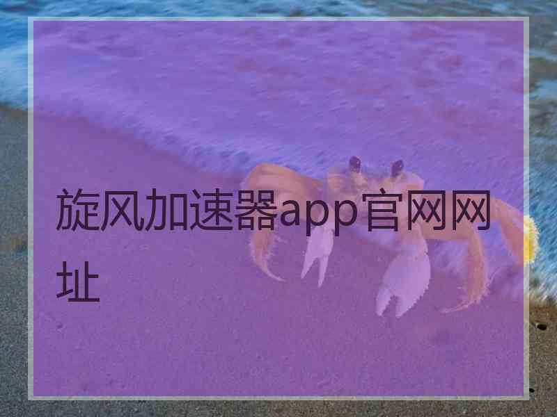 旋风加速器app官网网址