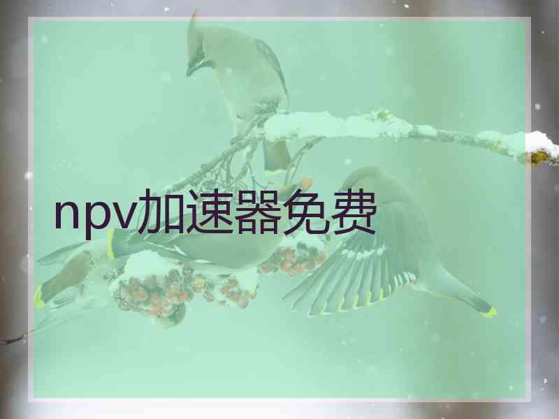 npv加速器免费