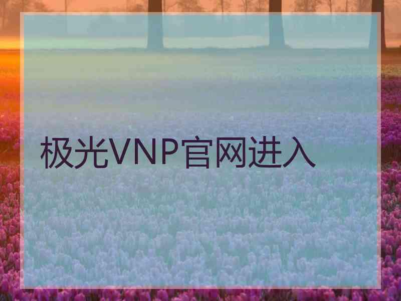 极光VNP官网进入