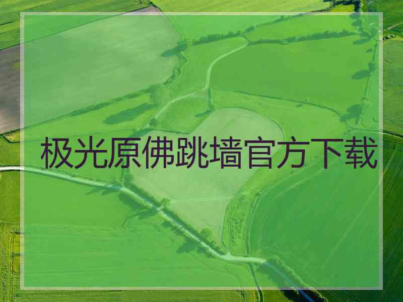 极光原佛跳墙官方下载