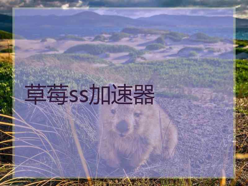 草莓ss加速器