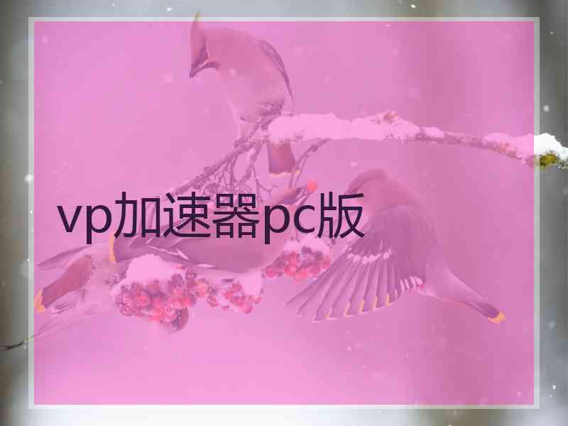 vp加速器pc版