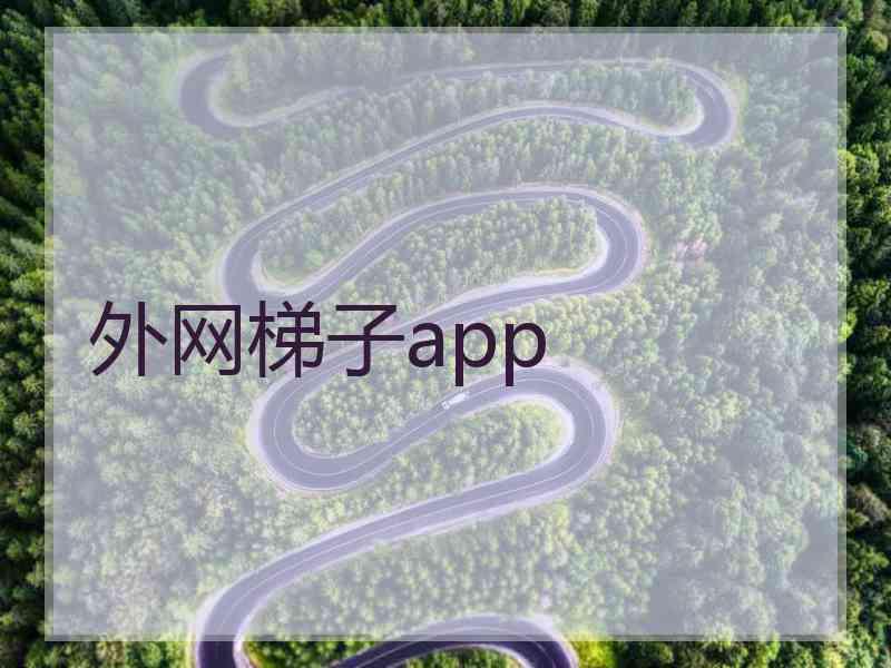 外网梯子app