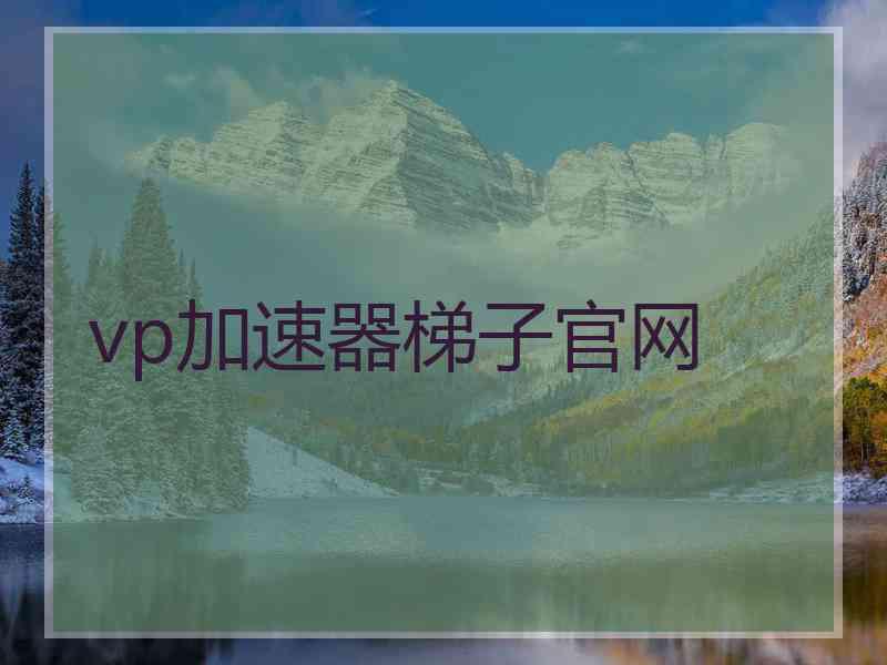 vp加速器梯子官网