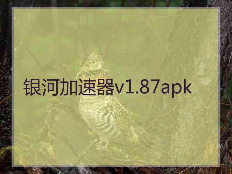 银河加速器v1.87apk