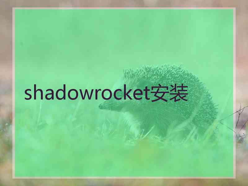 shadowrocket安装