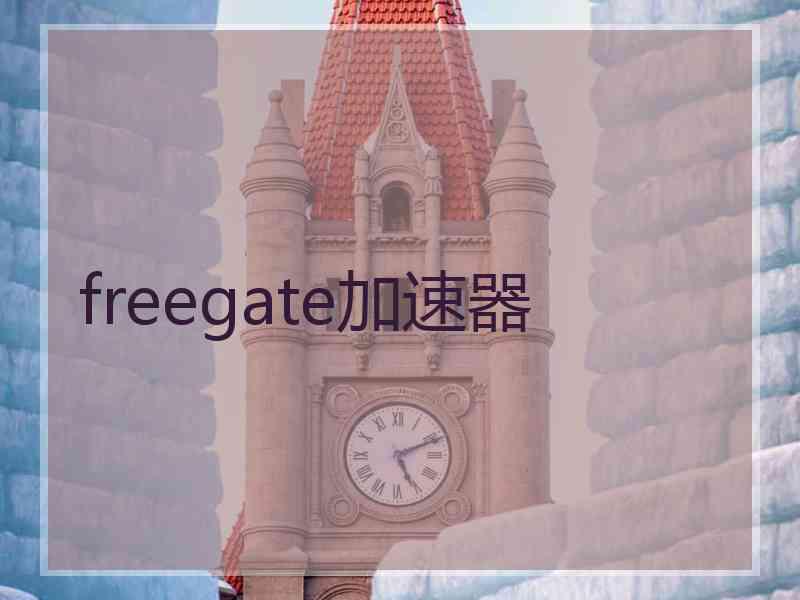 freegate加速器