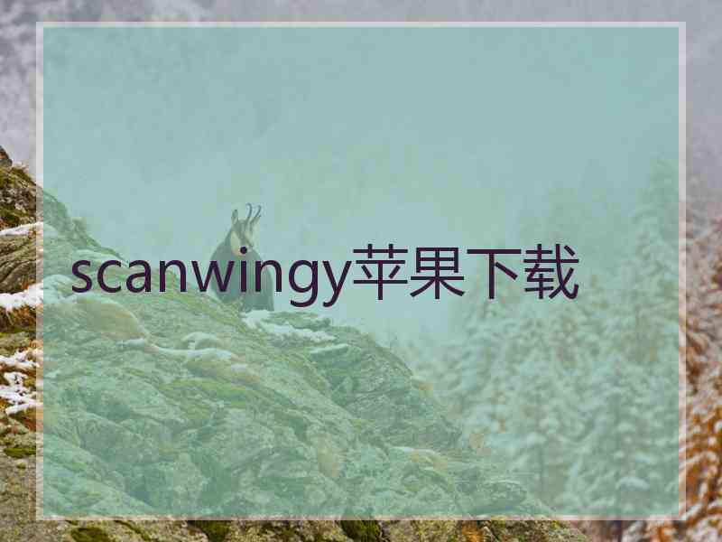 scanwingy苹果下载