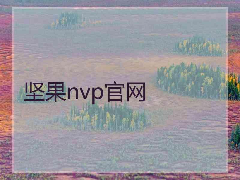 坚果nvp官网