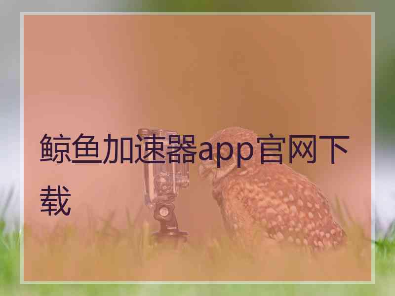 鲸鱼加速器app官网下载