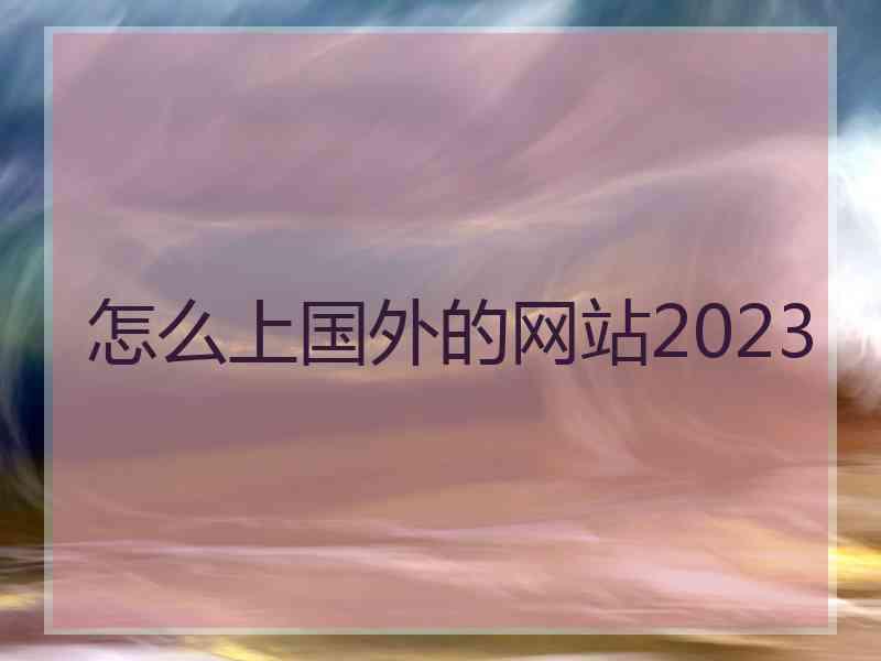 怎么上国外的网站2023