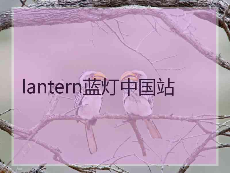 lantern蓝灯中国站