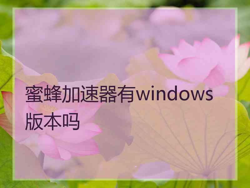 蜜蜂加速器有windows版本吗