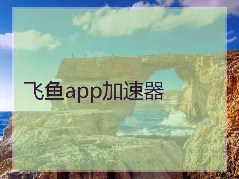 飞鱼app加速器