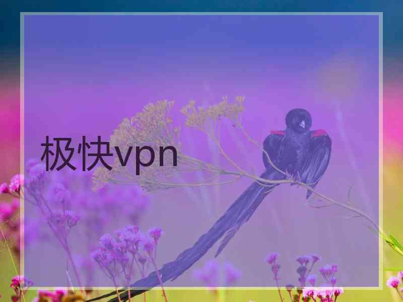 极快vpn