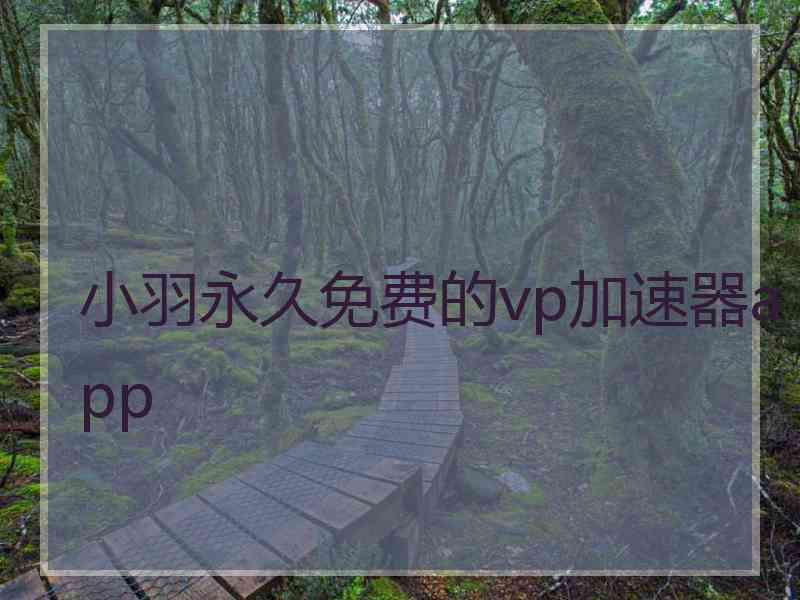 小羽永久免费的vp加速器app