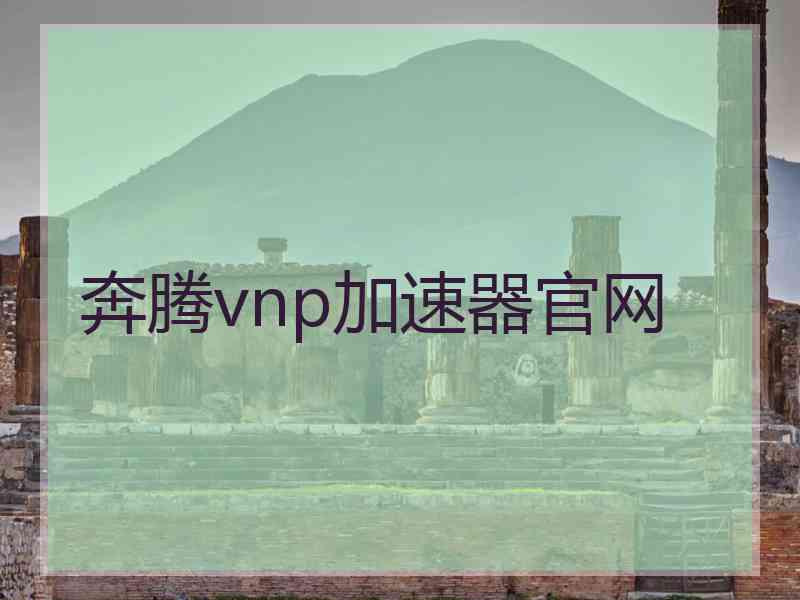 奔腾vnp加速器官网