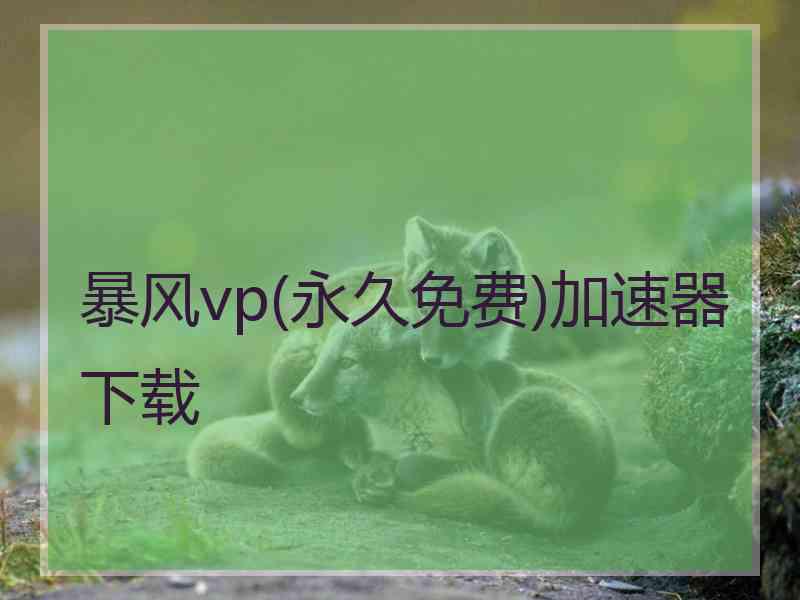 暴风vp(永久免费)加速器下载