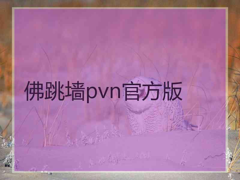 佛跳墙pvn官方版