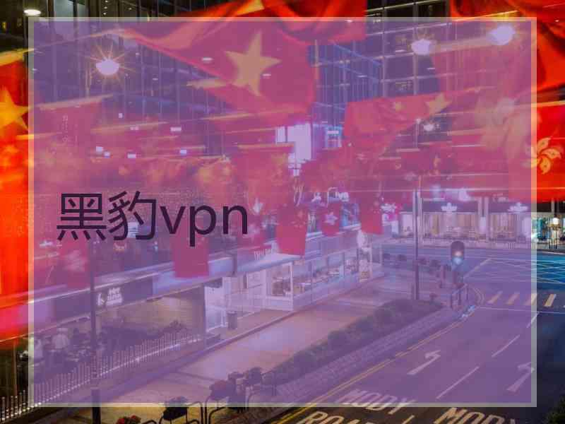 黑豹vpn