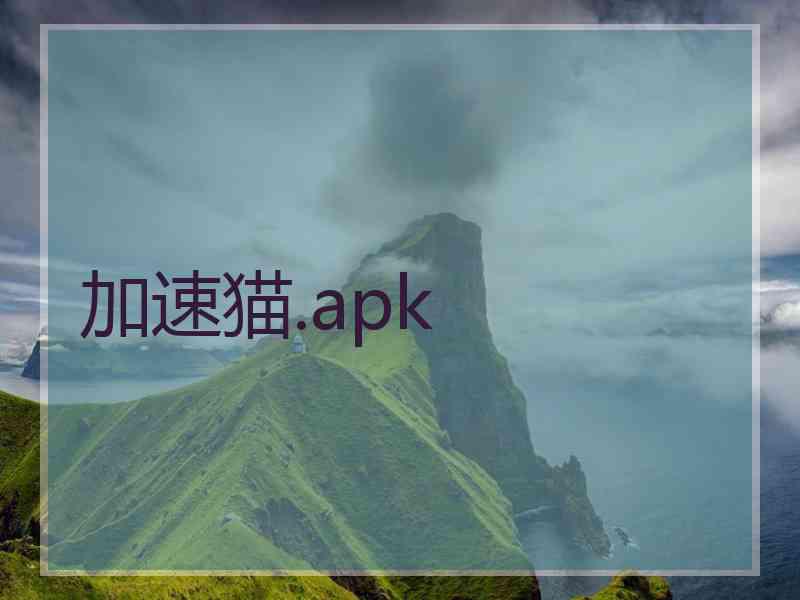 加速猫.apk