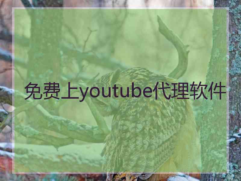 免费上youtube代理软件