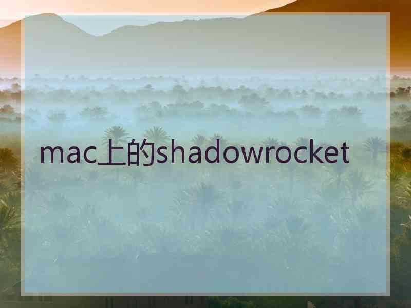 mac上的shadowrocket