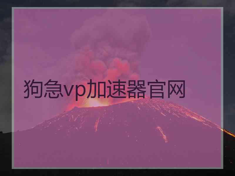 狗急vp加速器官网