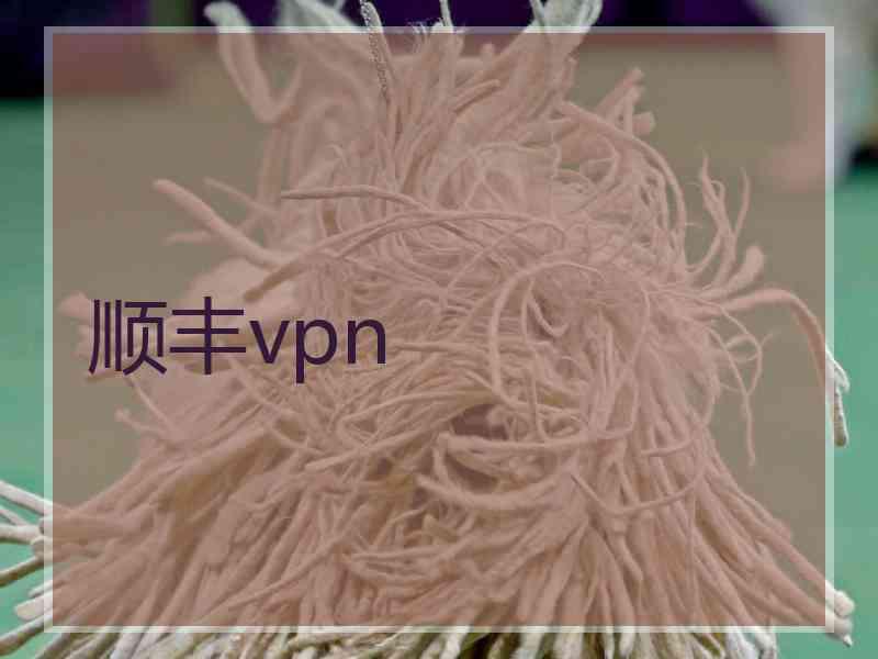 顺丰vpn