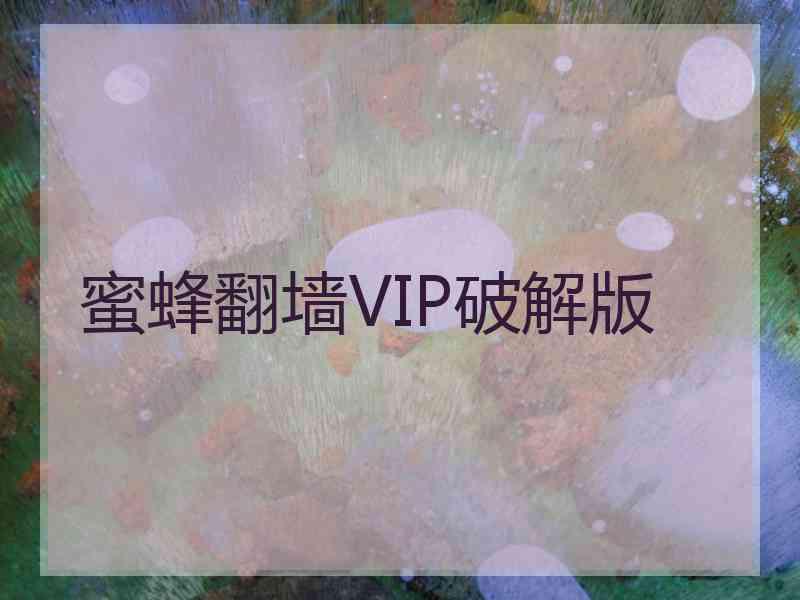 蜜蜂翻墙VIP破解版