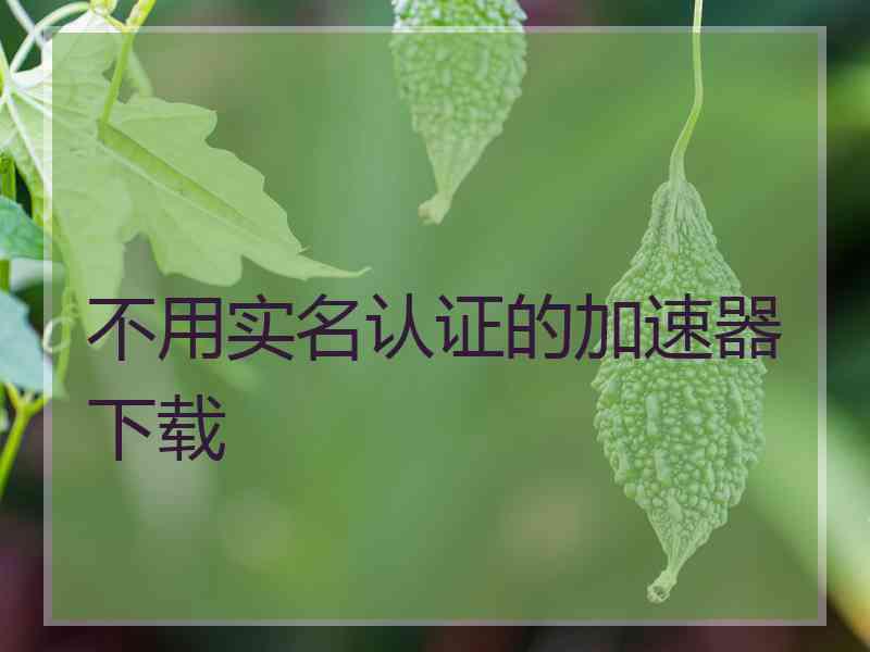 不用实名认证的加速器下载