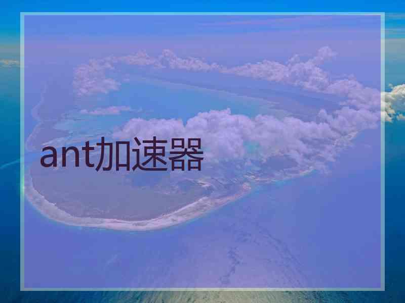 ant加速器