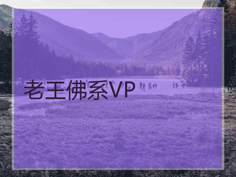 老王佛系VP