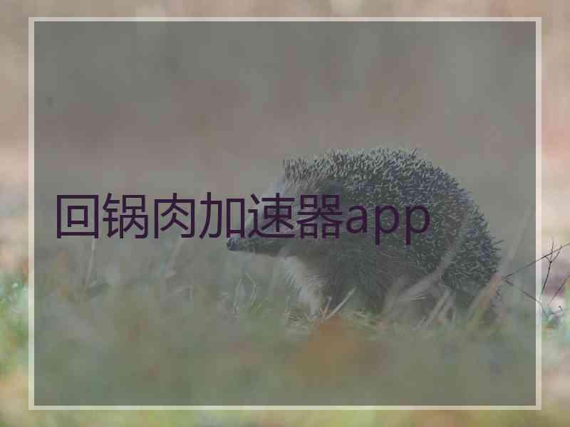 回锅肉加速器app