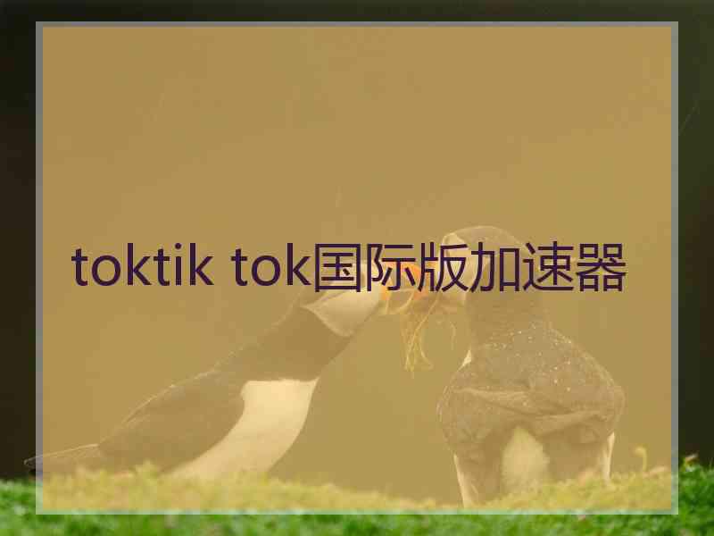 toktik tok国际版加速器